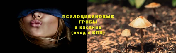 jwh Аркадак