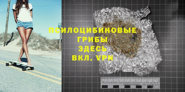 крисы Армянск