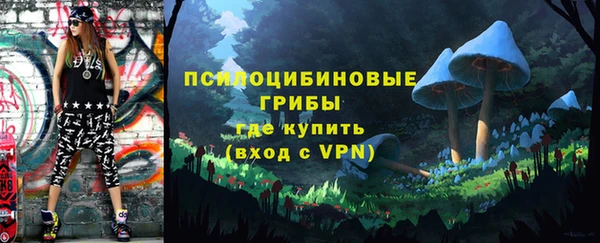 крисы Армянск