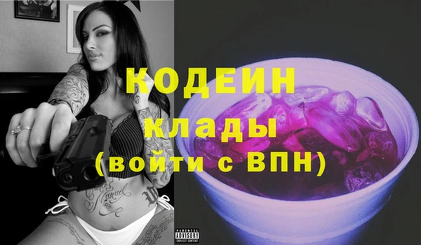 крисы Армянск